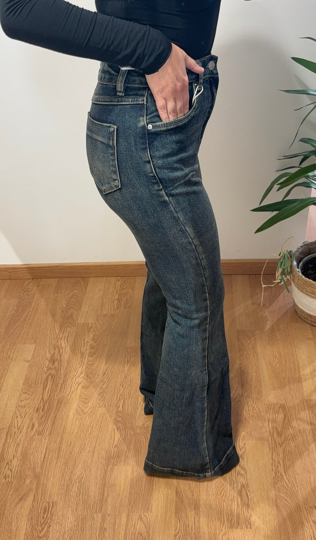 Jeans zampa