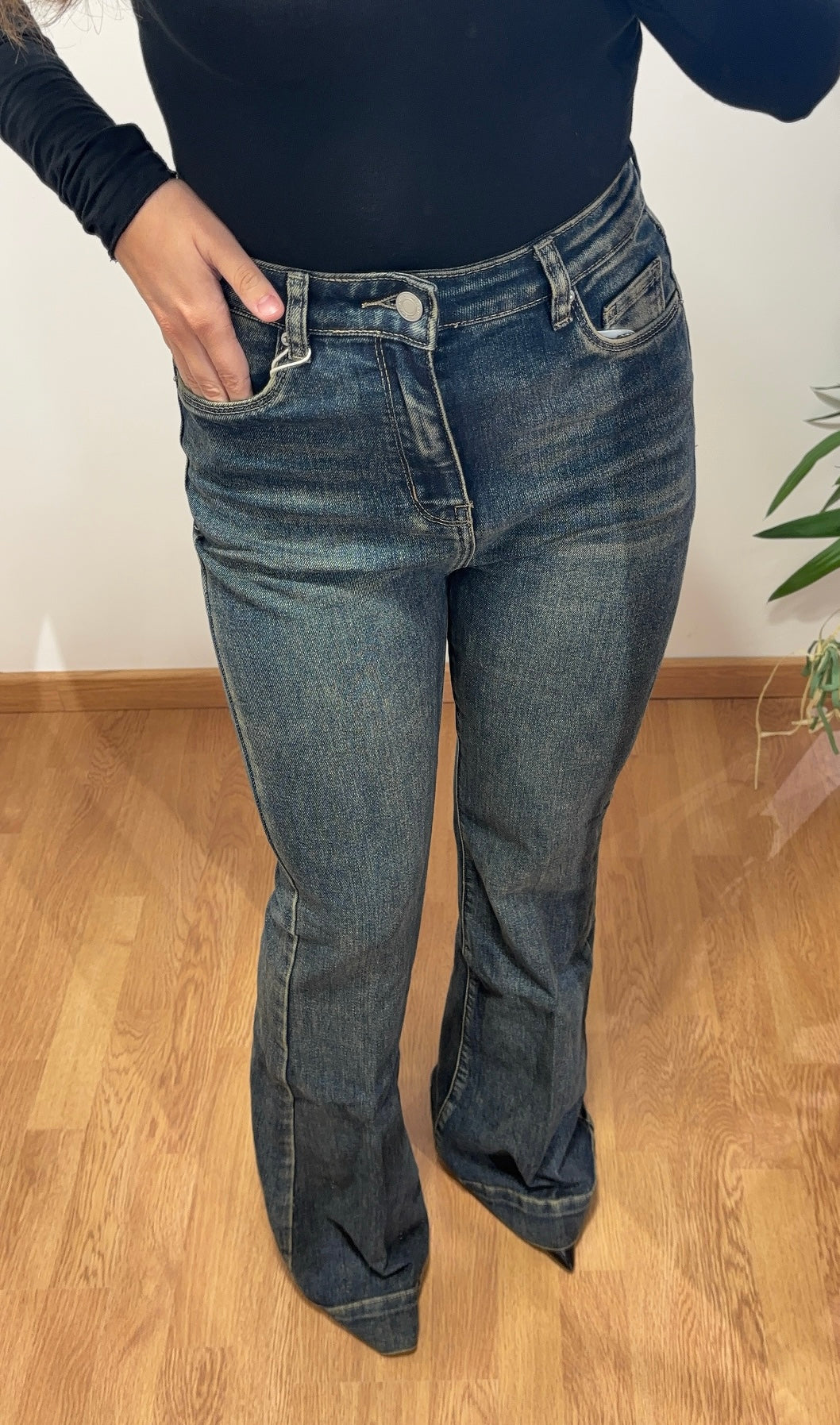 Jeans zampa