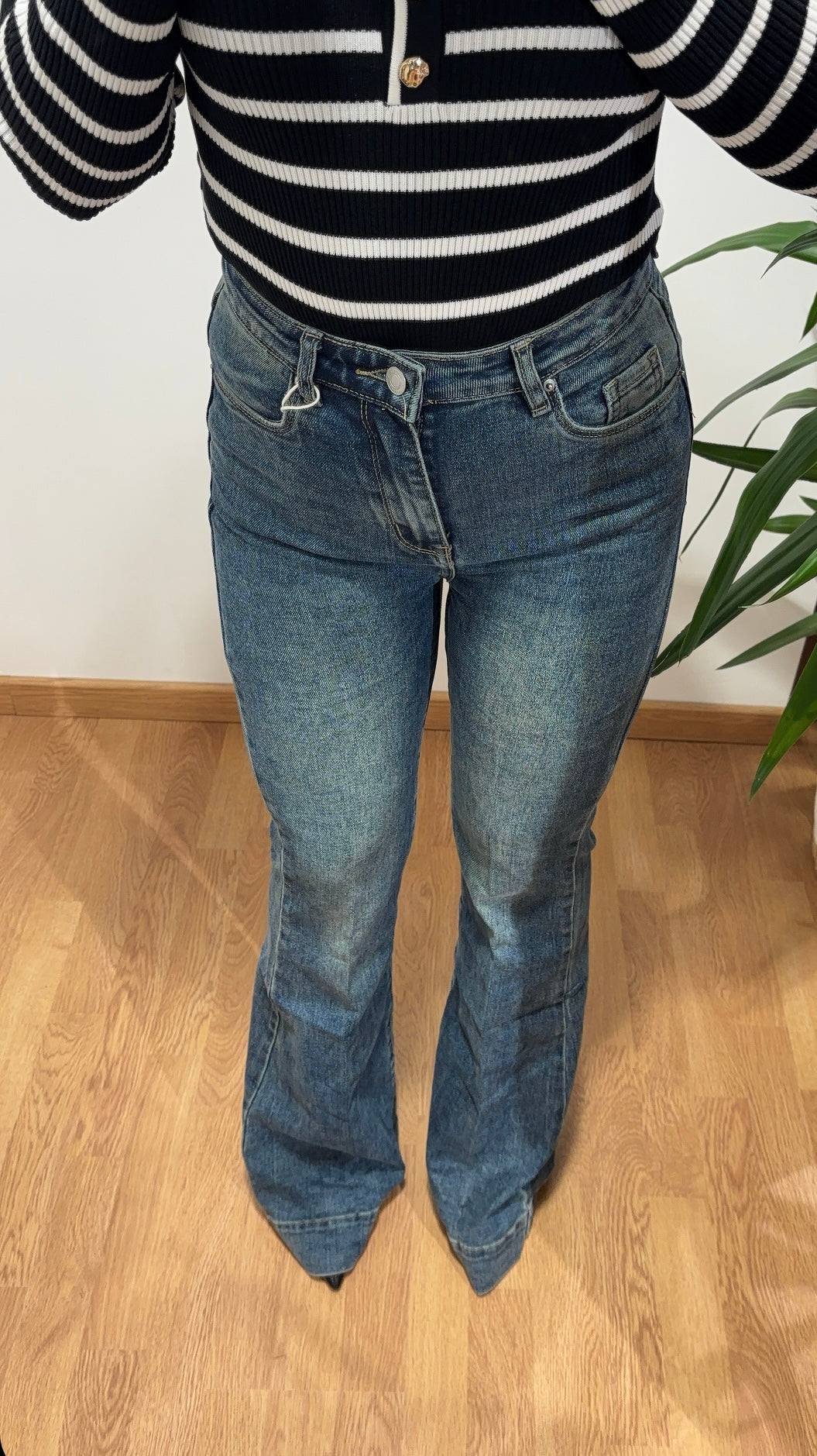 Jeans zampa